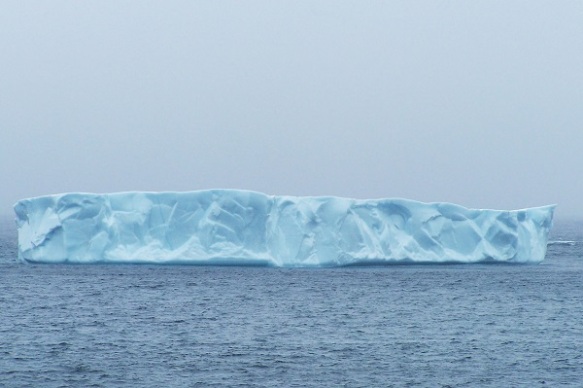 303 Iceberg @ Ferryland, NL