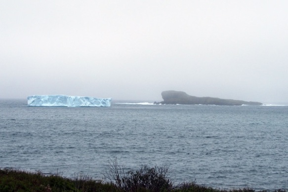 304 Iceberg @ Ferryland, NL