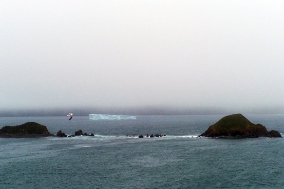 334 Iceberg @ Ferryland, NL